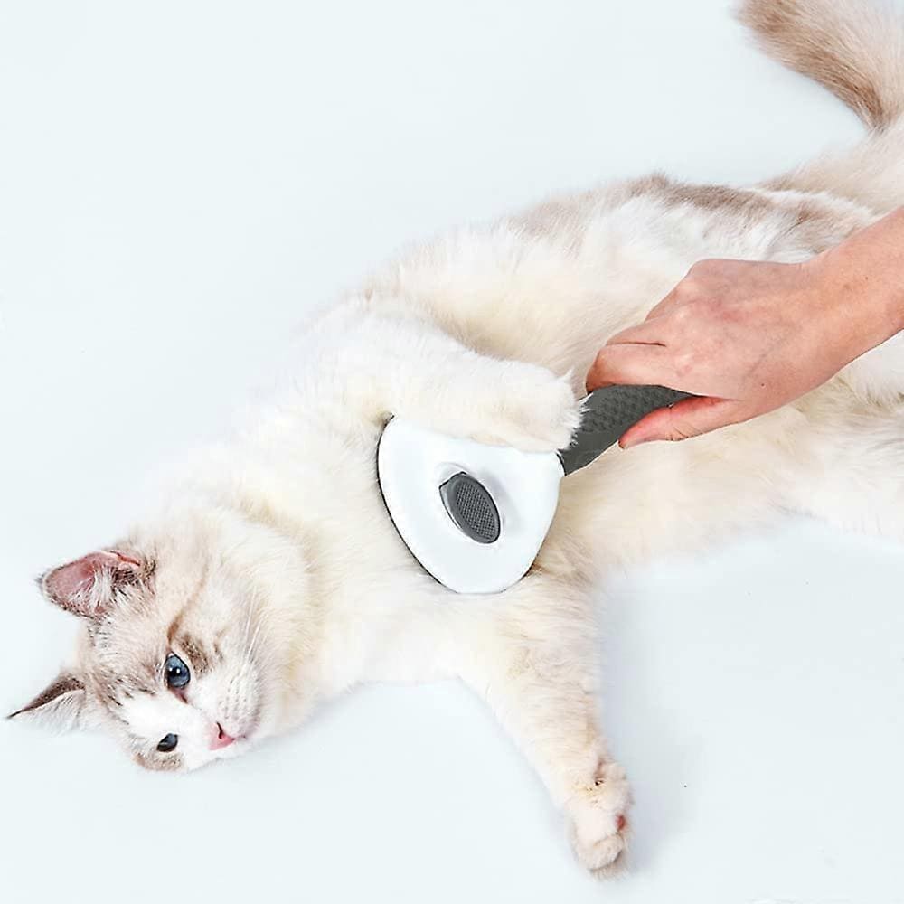 Compacta Home™ Pet Hair Removal Brush