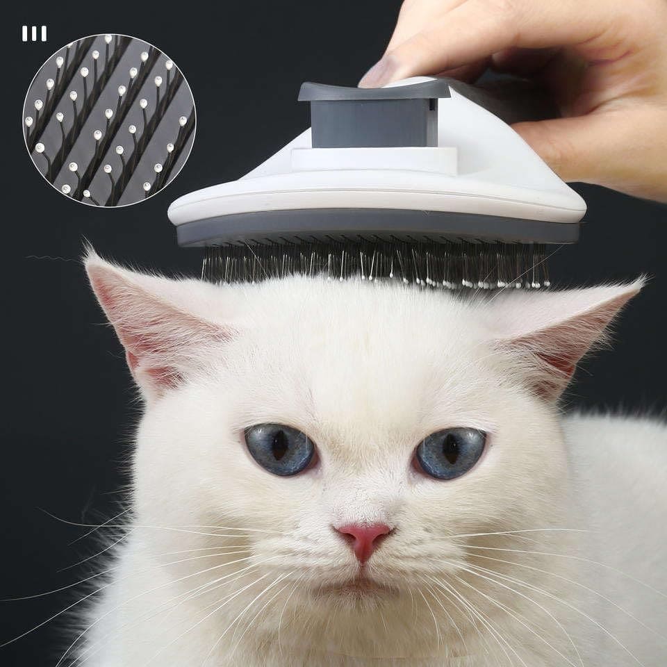 Compacta Home™ Pet Hair Removal Brush
