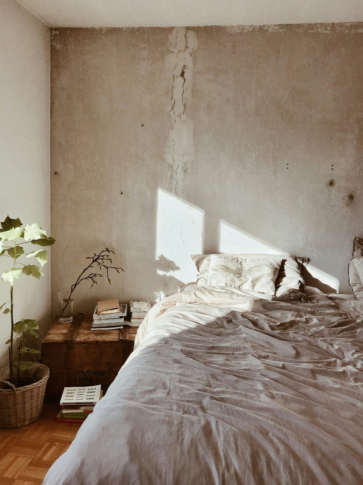 Home & Living